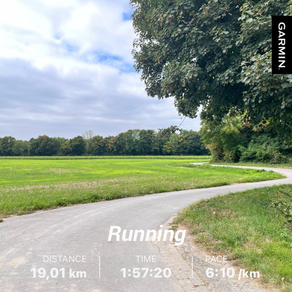 Winding, sunlit road through a field.