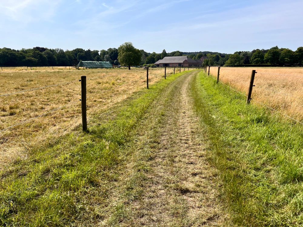 Trail between to fields in the summer sun