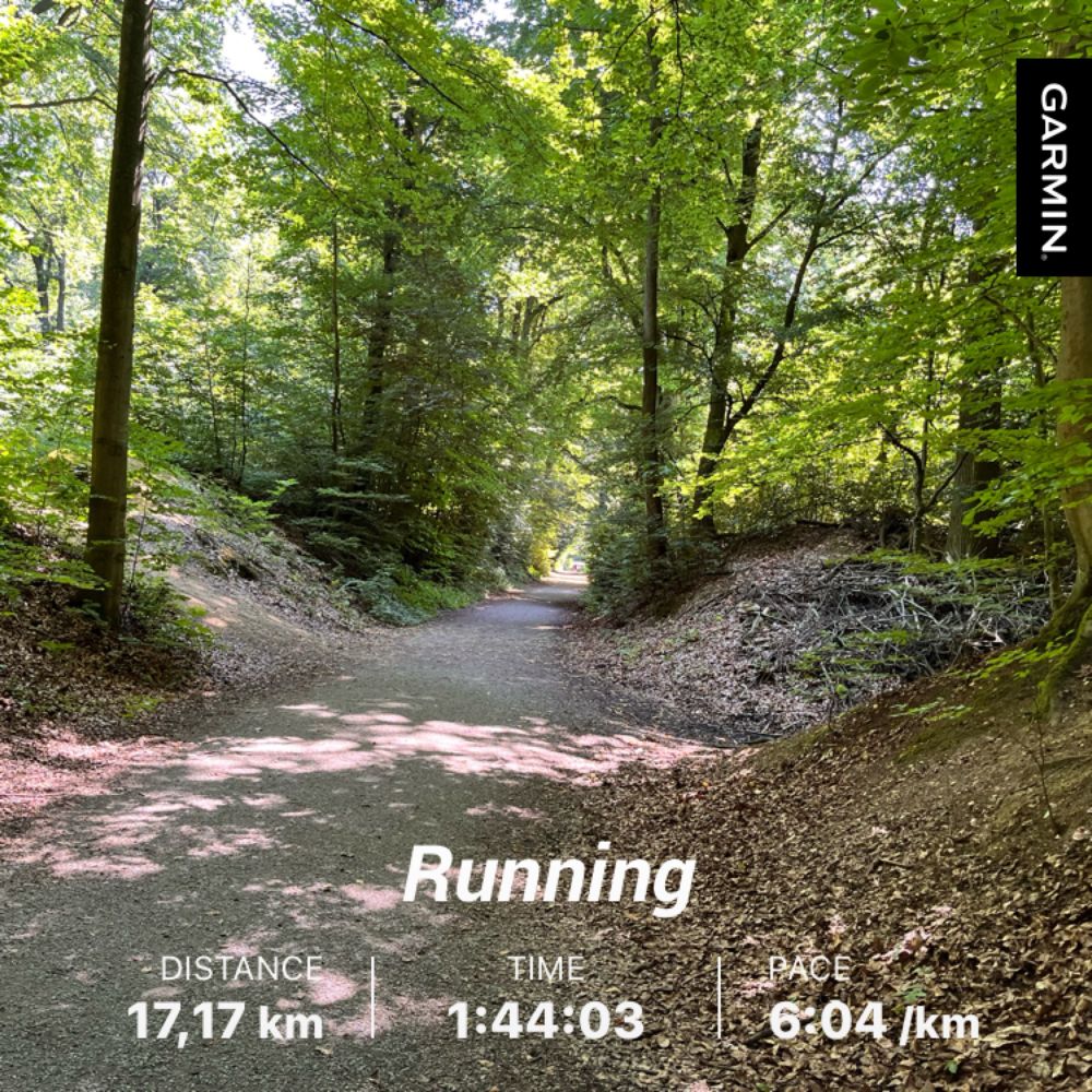 Mountain trail which is part of my running course, showing additional stats for distance, time and pace.