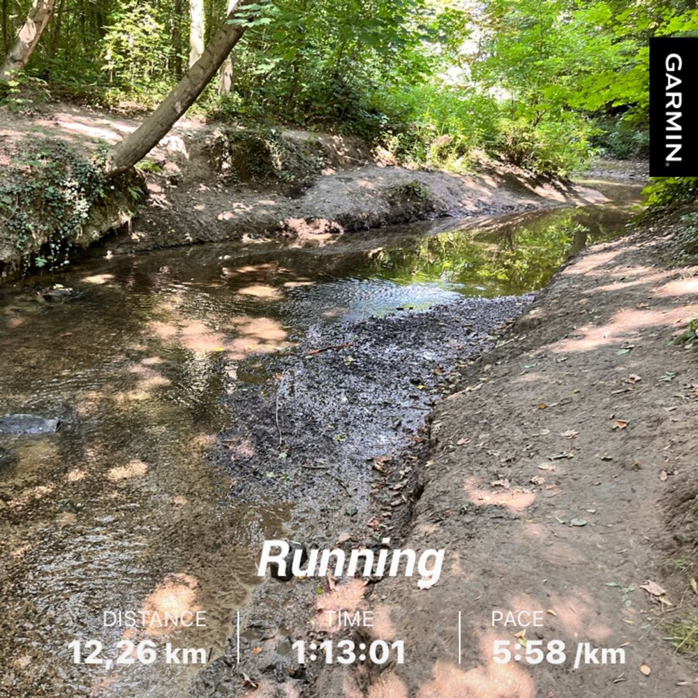 Black Brook (Schwarzbach) going its own way today in bright sunshine.