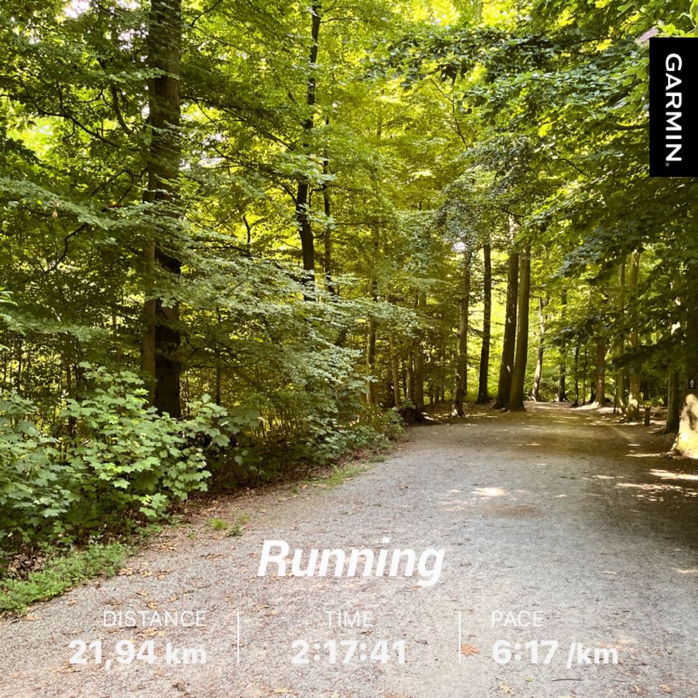 Forest trail in sunny conditions showing running data (22k in 2.17 h @ 6:17 min/km)