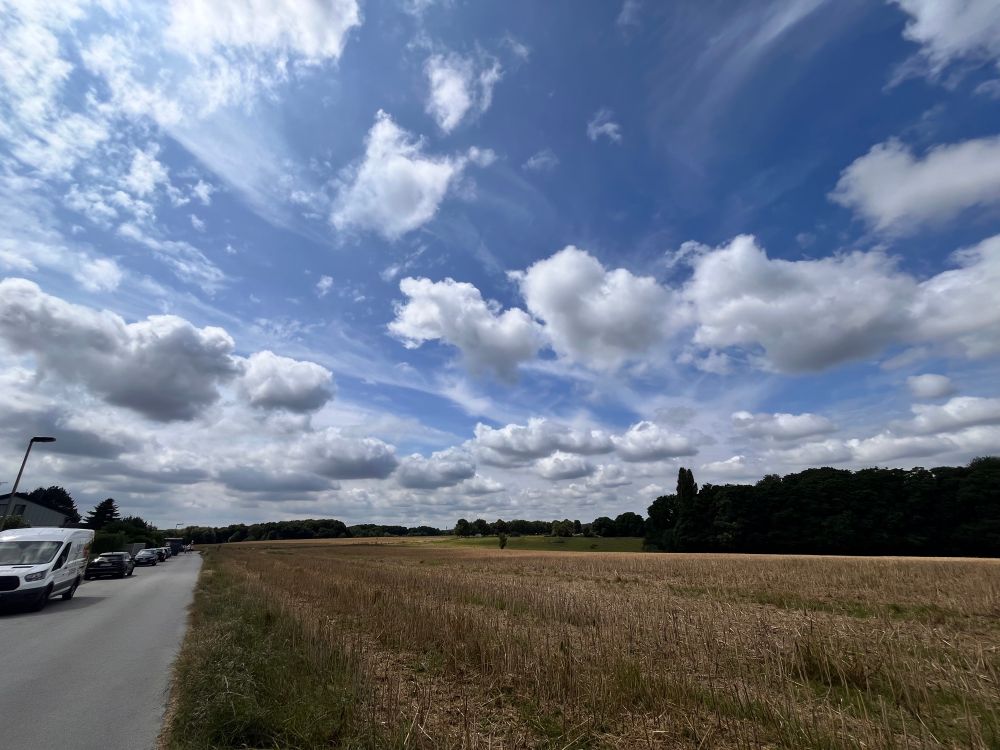 A field next to a road under a blue sky. The field has recently been harvested and seems to have had rape growing on it.