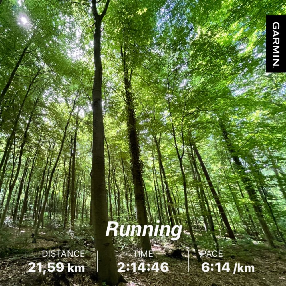 An image of trees in a forest with an overlay showing the running data (21.6k @ 6:14 per km)