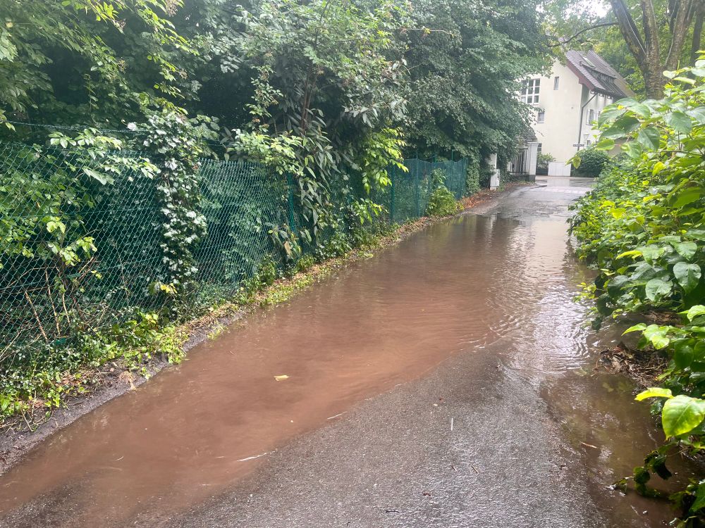 Inundated road through the forest. A house can be seen in the background.