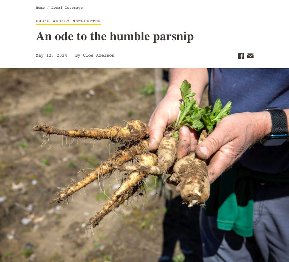 A man holding several just pulled from the ground parsnips. 