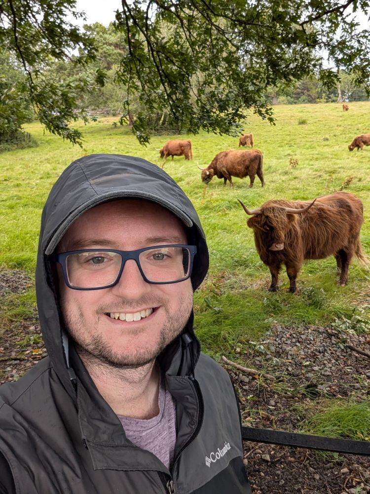 Selfie with a group of highland cows grazing in a field in the background.