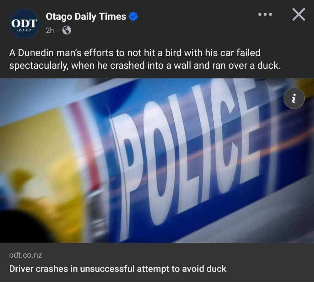 OTAGO DAILY TIMES

A Dunedin man's efforts to not hit a bird with his car failed spectacularly, when he crashed into a wall and ran over a duck.