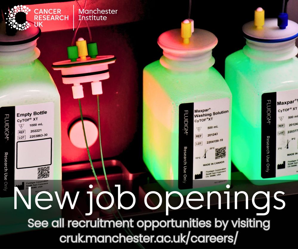 Photo shows three glowing green bottles of chemicals, with a space where a fourth bottle can be placed

Text says "New job openings" and "See all recruitment opportunities by visiting cruk.manchester.ac.uk/careers/"