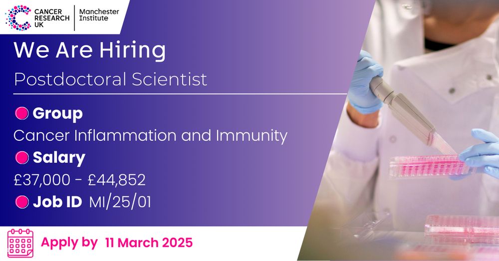 Job Advert Image - person wearing a lab coat and using a multi-channel pipette

Text reads:  We are hiring, Postdoctoral Scientist
Cancer Inflammation and Immunity Group

Salary: £37,000-£44,852

Job ID MI/25/01

Apply by 11th March 