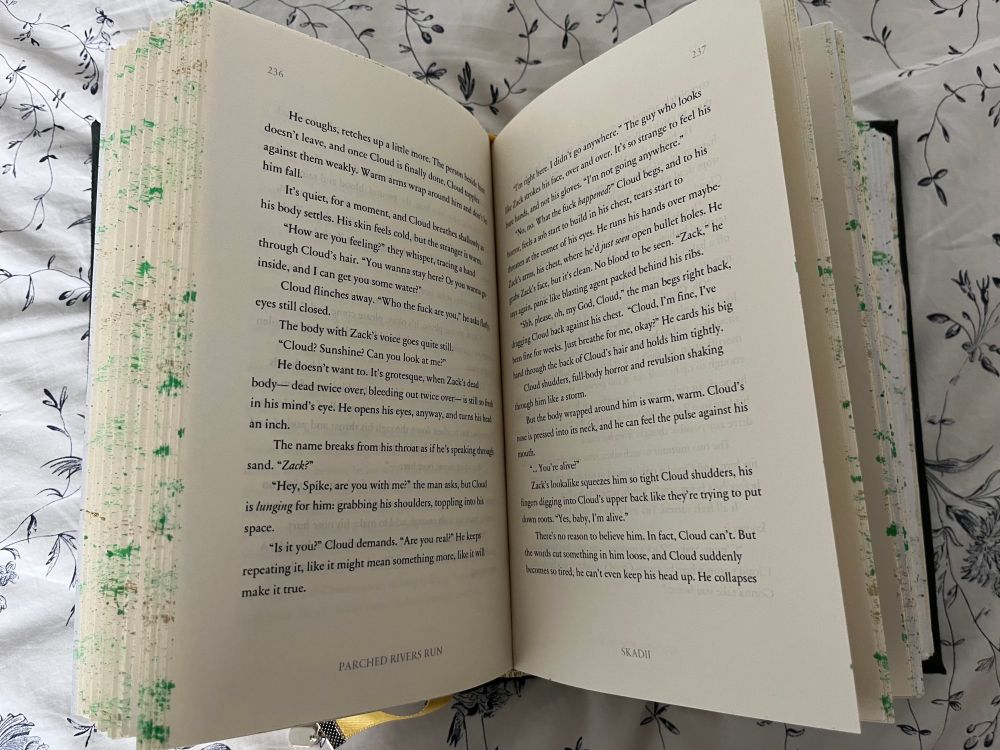 the open book