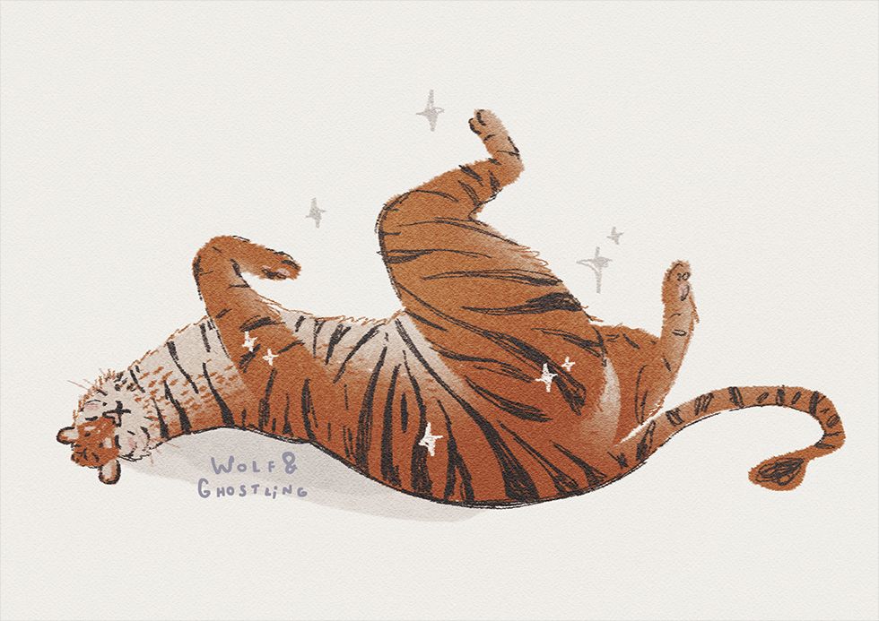 an illustration of a happy little tiger lying on his back, with his chubby legs up in the air.