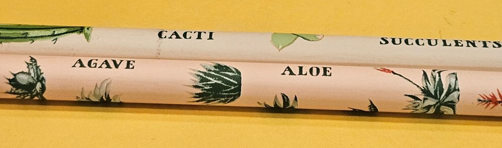 Succulent-themed pencils with "agave," "aloe," and other crossword-friendly vocab. Each plant is illustrated as well.