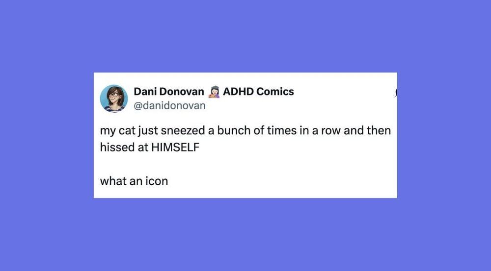 23 Of The Funniest Posts About Cats And Dogs This Week (July 12-18)