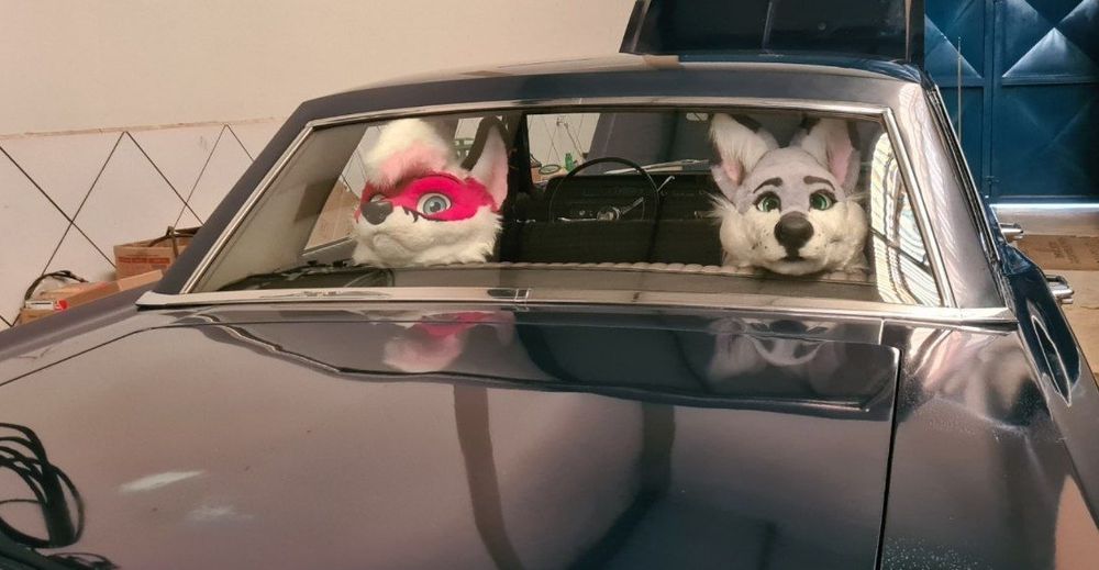 Glaux and Luke are in the back seat of an old Ford.