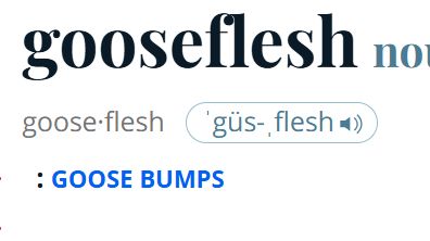 Screenshot of Merriam-Webster entry showing gooseflesh as one word and goose bumps as two words because they're inconsistent and the rules are made up and nothing matters.