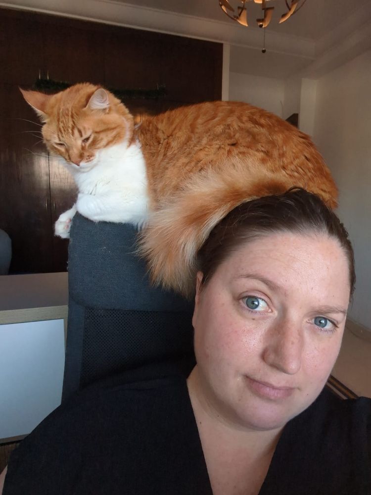 A giant orange and white behemoth of a cat sits half on the top of the chair back and half on a poor, beleagured editor's head as she buckles under the pressure of his unbearable cuteness.