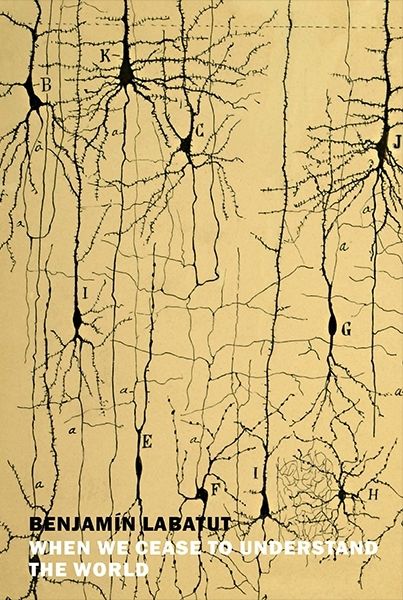 The cover art is a scientific image by Santiago Ramón y Cajal, titled Drawing of Microscopic Brain Structure, 1904.
On top, in black and white sans serif all-caps font appear the author name and book title: Benjamín Labatut, When We Cease Too Understand The World