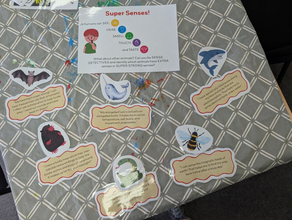 Activity for children to match different descriptions of senses to their respective animal