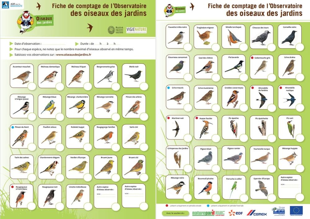 Choisissez votre lieu d'observation balcon, jardin ou parc public
Prenez une heure,le25 ou le26
Prenez vos jumelles(si vous en avez), installez-vous confortablement et observez
vous allez voir un ballet ailé qui nous permet d’en apprendre plus sur la santé des oiseaux des jardins