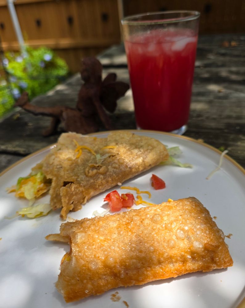 Delicious late taco lunch on the picnic table on the patio outside 😋 . One bite each is missing from the taco and the pie..... 😀
