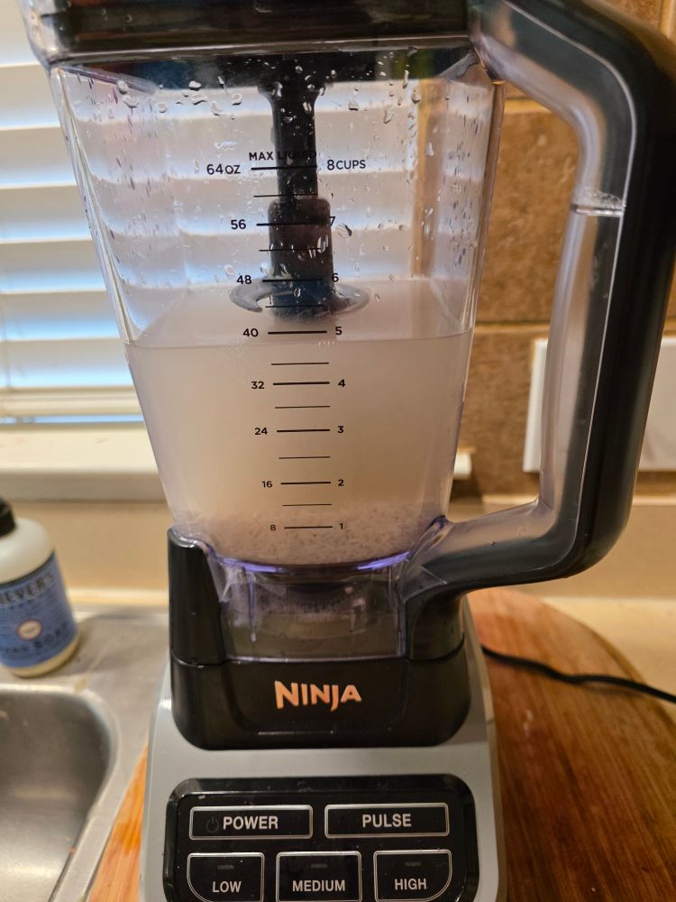 Rice, water, and cinnamon in a blender 
