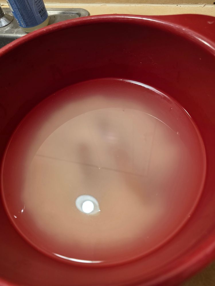 Soaking overnight 