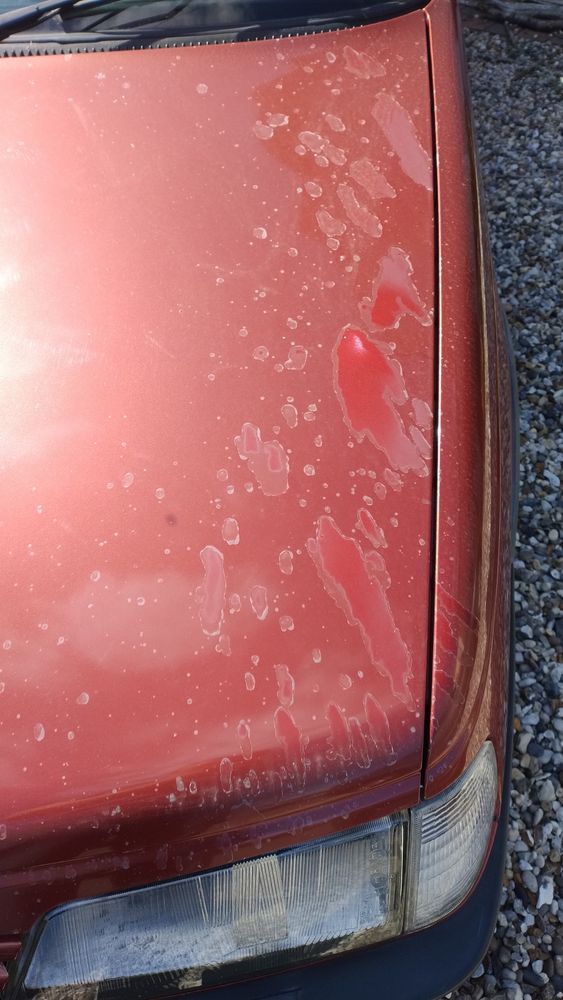 Peugeot 405 le mans bonnet with lacquer peel.