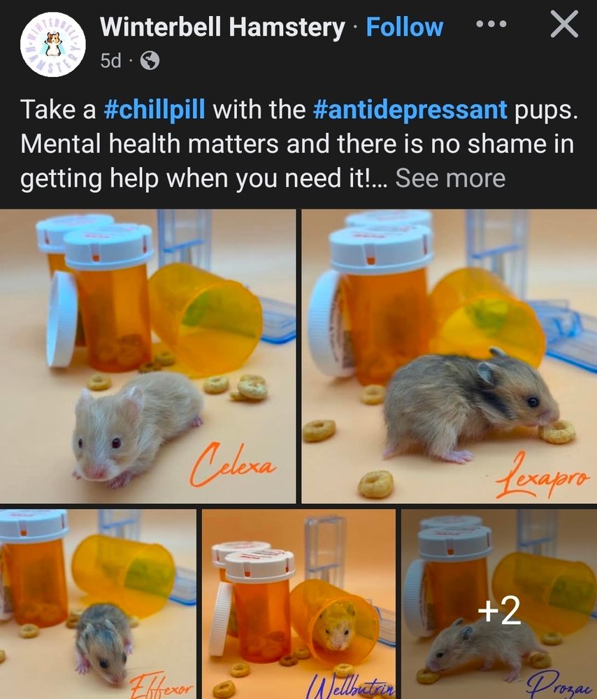 Hamsters named after antidepressants 