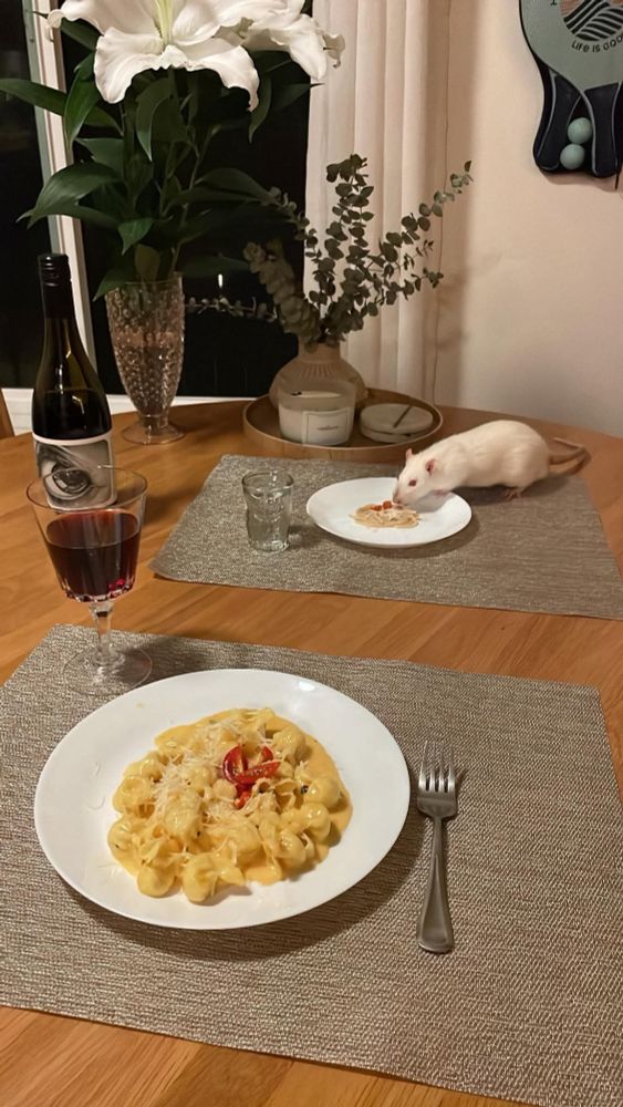 RAT DINNER