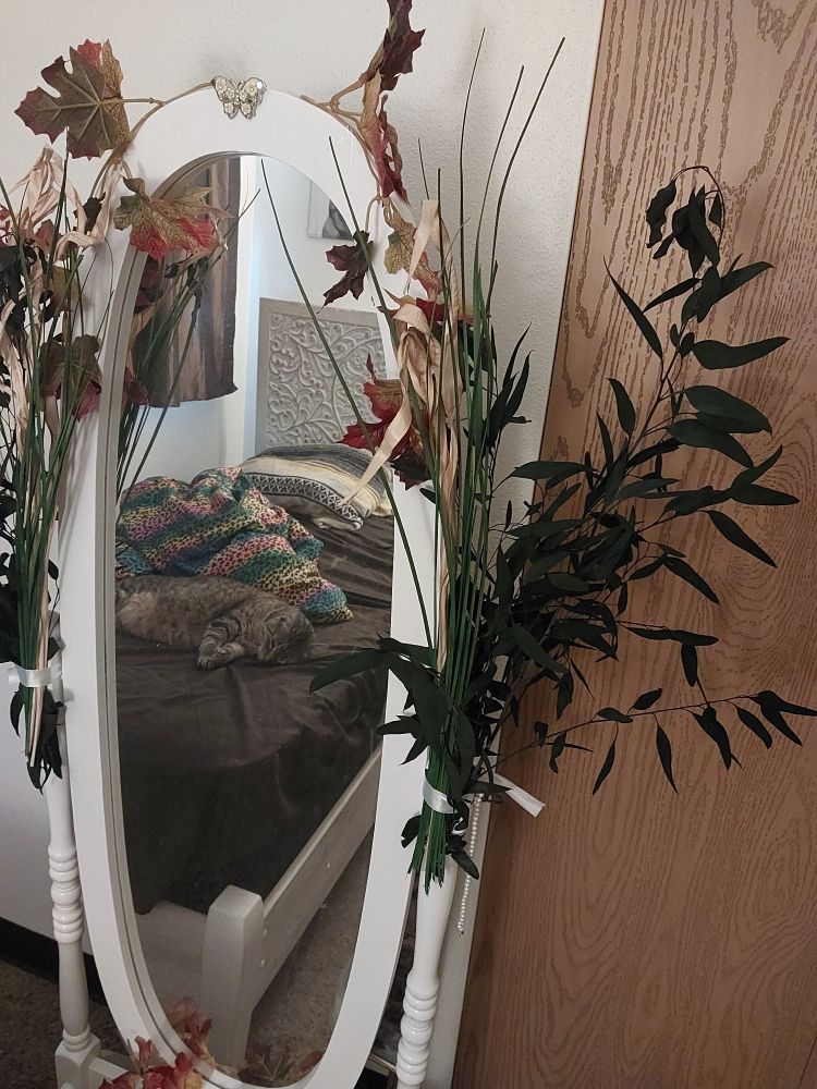 A white framed oval mirror stands to the left of a wood print closet door. At its top is a yellow butterfly and faux fall leaves, along with more fall leaves along the bottom. Tied to each side with white ribbon are bundles of green and tan reeds and small branches with dark green leaves. In the mirror's reflection is a white frame bed with dark brown sheets. There is a Mexican blanket and rainbow leopard print comforter on it, as well as a brownish gray tabby toward the foot of the bed.