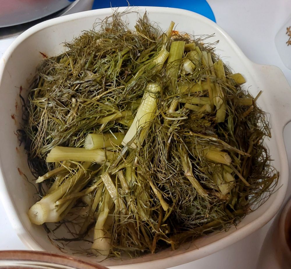 Chopped fennel fronds and stalks in a rounded square white baking dish. 