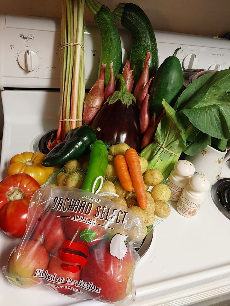 An avalanche of produce flows diagonally across a white stovetop. At the rear are a bunch of rhubarb held together, two zucchini, a cucumber the size of someone's forearm, and rubber banded head of bok choy. Wedged between the zucchini and cucumber and the eggplant ahead is a line of shallots. In front of them is a bag of baby Yukon potatoes. Two carrots, a poblano pepper, and an Anaheim pepper ride the wave on top of them. Off to the left are a red and orange tomato. To the right is a white with floral print cream pitcher and a set of vintage Avon salt and pepper shakers. At the bottom of the cascade is a clear plastic bag of apples.