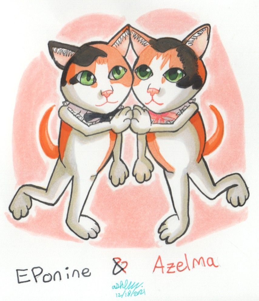 A marker picture of two short haired calico cats. They both have green eyes, pink noses, and collars with bows and lace on them. The cat on our left has a black bow on her collar; the cat on our right has a pink bow on her collar. They are giving each other a high five. The text "Eponine & Azelma"  is below them in black and red letters. The picture has a pale pink circle in the background.