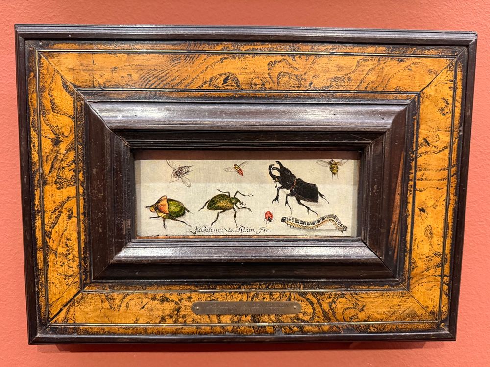 Artwork with beetles in the Kunsthaus Zürich 