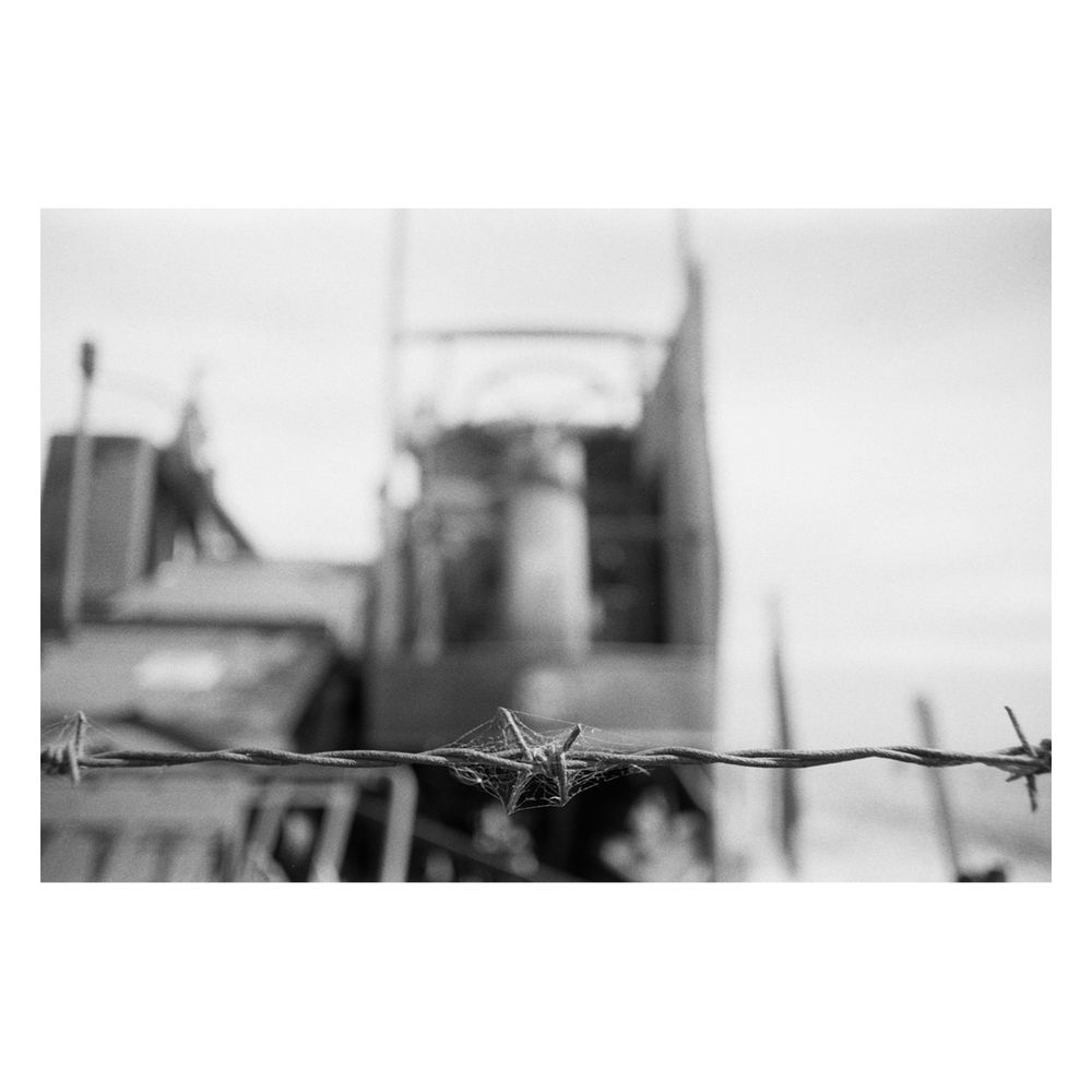Same as before with the barb wire in focus and the farm equipment out of focus.