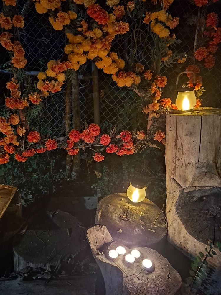 Photo of an ofrenda made of orange & yellow marigolds, with candles & lanterns lit on tree stumps under it. 