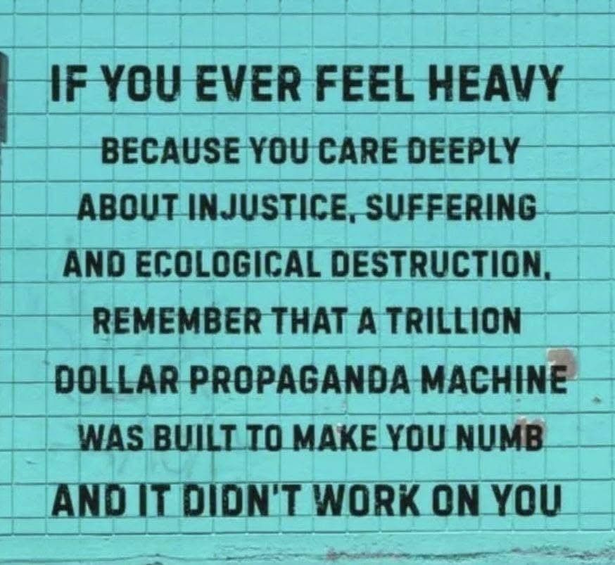 Teal background with the text,  "If you ever feel heavy because you care deeply about injustice,  suffering and ecological destruction,  remember that a trillion dollar proganda machine was built to make you numb and it didn't work on you. "