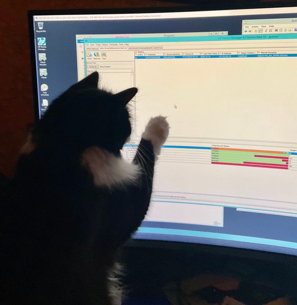 Cat touching computer screen
