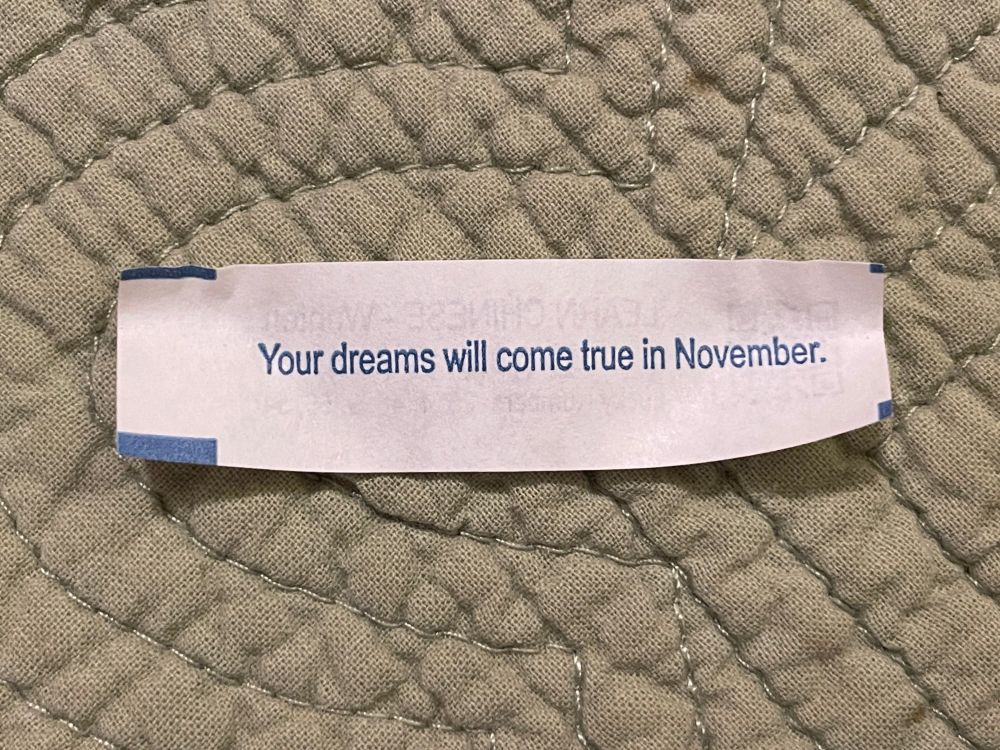 fortune cookie fortune reading "Your dreams will come true in November."