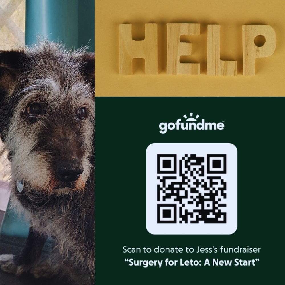 GoFundMe QR code for "Surgery for Leto: A New Start" (scan to donate to Jess' fundraiser); image of sweet old black dog with a white face and hopeful eyes; blocks that spell "help"