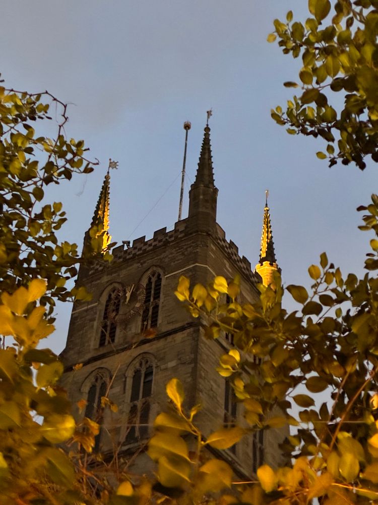 Main tower framed by trees in yellow light 
