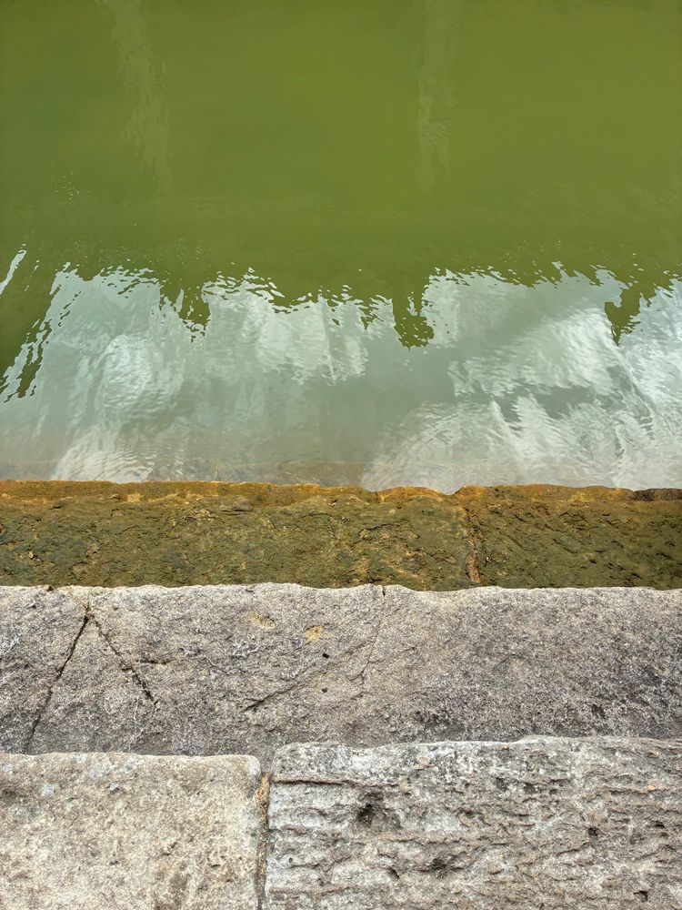 Steps down to the water green with algae 