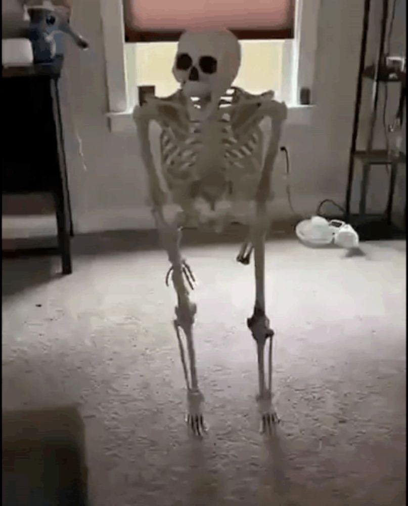 a skeleton is standing on its hind legs in a living room in front of a window .