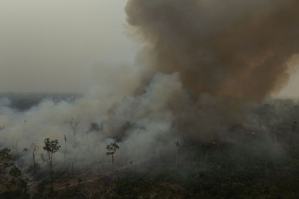 Para combater as queimadas, Brasil precisa se libertar do agro