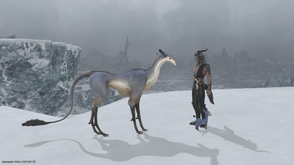 FFXIV male au ra wol looks at a level 1 deer on the coerthas map