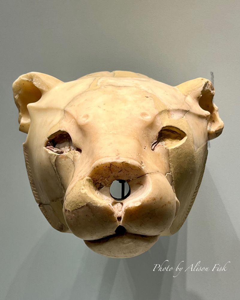 My photo shows a Minoan stone rhyton (ritual vessel) in the shape of a lioness’s head, carved from translucent limestone which appears creamy-yellow in colour. The naturalistically carved lioness’s face is viewed from the front. The holes for the two eyes and nose were originally inlaid with materials which have not survived The stone around both ears is chipped. Length 29.5cm.

A rhyton is a type of ritual pitcher used to pour liquid offerings. On display at Heraklion Archaeological Museum, Crete.