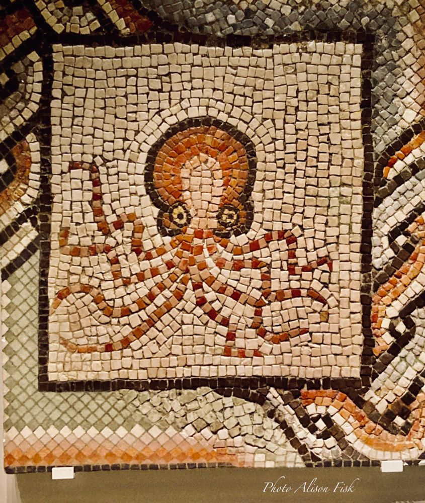 My photo shows a fragment from a mosaic floor of a Roman villa in Spain depicting a stylised octopus using red, yellow, and black limestone tesserae. The front facing octopus has bulging eyes and eight writhing tentacles