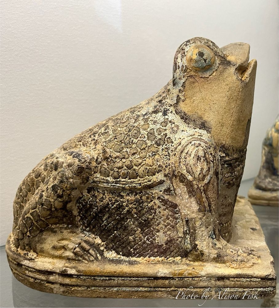 My photo shows a Roman ornamental fountain spout in the shape of a frog excavated from the vesuvian area. Made of glazed terracotta, the frog is viewed from the side. It is sitting with its head to the right and raised upwards with mouth slightly ajar for water to pass through. In colour it is creamy-beige with darker greeny-brown bumps. The glaze is missing from the throat and mouth area. The glaze on the surface of the body appears bumpy like that of a toad although the museum describe it as a ‘rana’ / frog.