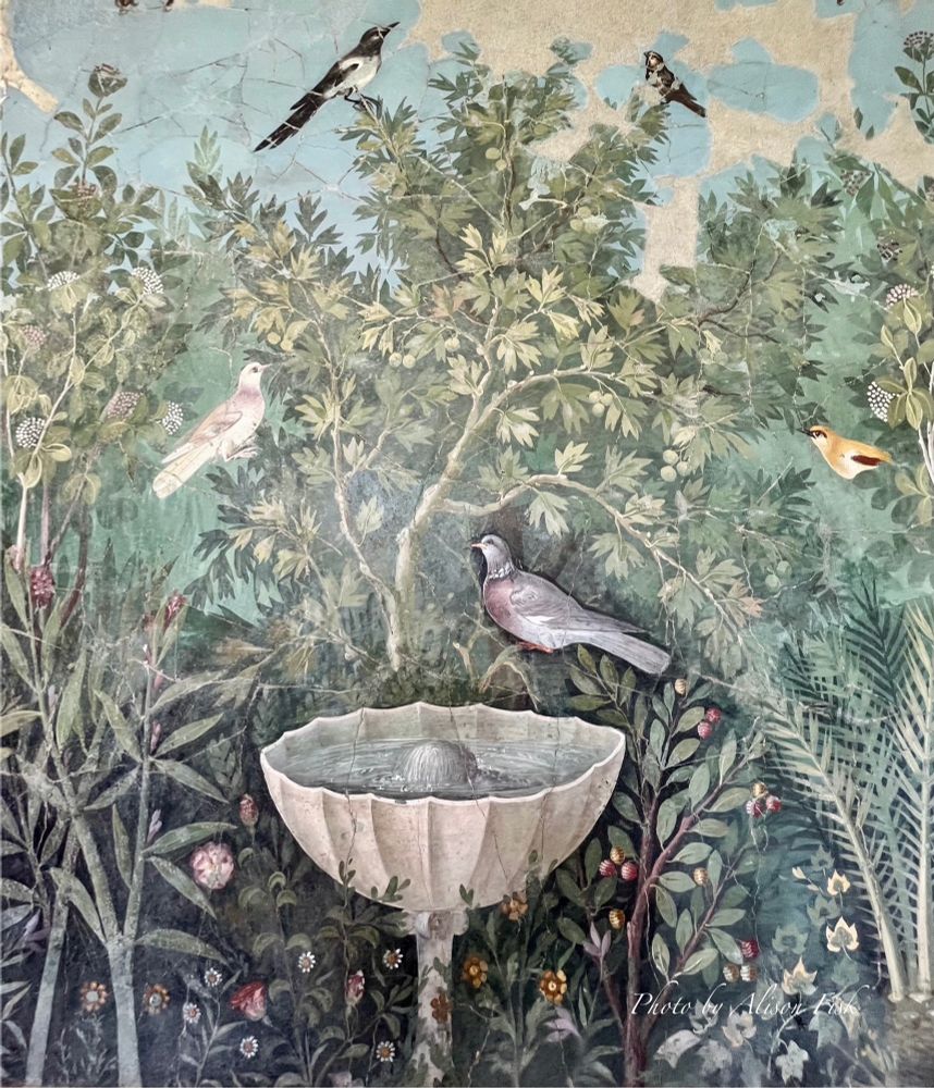 My photo shows detail from a large Pompeian wall fresco of a lush flower garden from a room in the House of the Golden Bracelet in Pompeii. The scene includes realistic depictions of trees, shrubs, flowering plants, and birds beneath a blue sky. In the foreground is a water fountain; an off-white hemispherical shell-shaped basin on a pedestal stand. There is a sycamore tree behind the water basin with various birds perched on its branches. Perched at top left is a black and white magpie, top right a sparrow, bottom left a white turtledove, bottom right a grey wood pigeon. On the right of the scene, a golden oriole bird with yellow, white, and brown plummage looks out from viburnam bush with white flowers. Some other identifiable plants depicted in the lush garden include oleander, strawberry tree, ivy, and a date palm.