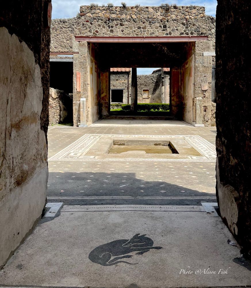 My photo shows a view through the entrance passage of the house of Lucius Caecilius Iucundus (Casa di Cecilio Giocondo), REGIO V, INSULA I, 26, looking towards the atrium and tablinum. On the floor of the entrance passage is a mosaic depicting a small black guard dog which is curled up asleep. Mosaic depictions of ‘guard dogs’ were popular placed at the entrance of wealthy homes in Pompeii. Lucius Caecilius Iucundus, the owner of this house, was a wealthy banker who lived in Pompeii 2,000 years ago.